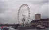 I see you. The London Eye.